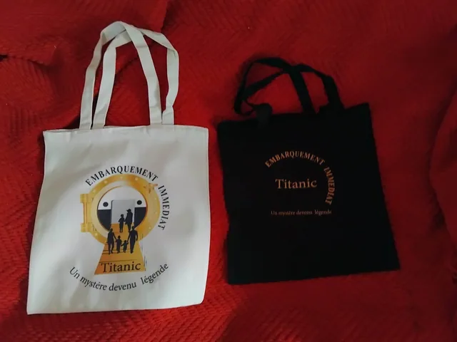Duo de sac en toile